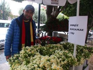 Forex anlik canli pariteler
