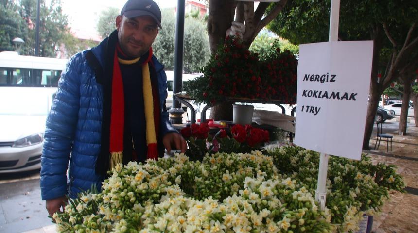 Nergisi parayla koklattı, satışları arttı