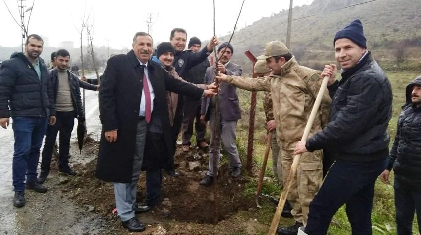 &Ccedil;&uuml;ng&uuml;ş Belediyesinden ağa&ccedil;landırma seferberliği