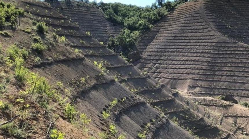 Seben&rsquo;de, 2018 yılında 400 bin fidan toprakla buluştu