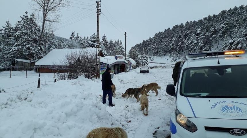 Niksar&rsquo;da Zabıta Ekipleri doğaya yiyecek bıraktı