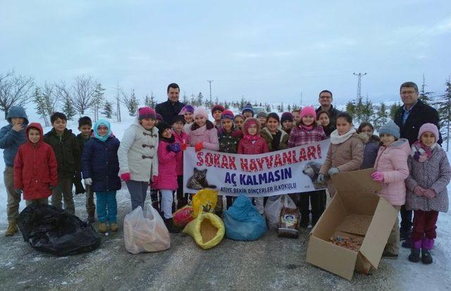 Sokak hayvanları için kermes düzenlediler