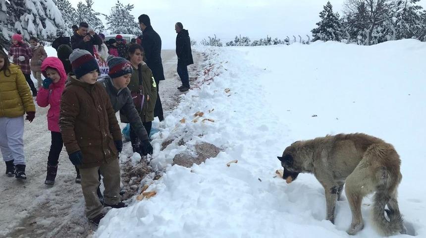 Sokak hayvanları i&ccedil;in kermes d&uuml;zenlediler