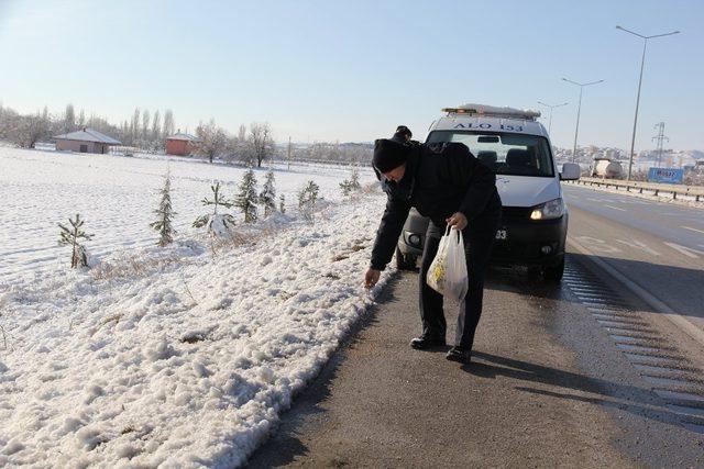 Sungurlu Belediyesi sokak hayvanlarını unutmadı