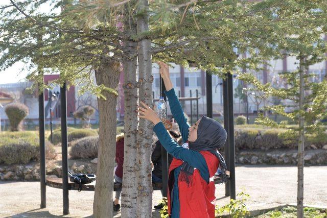 KMÜ öğrencileri kuşları unutmadı