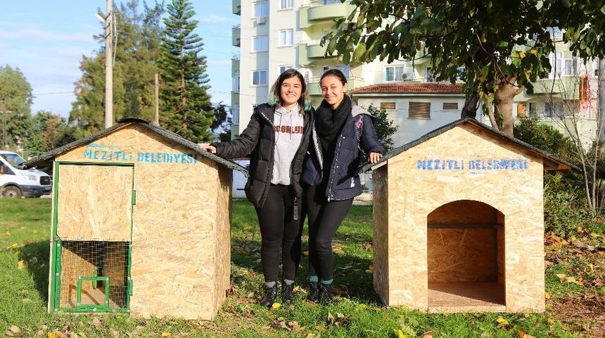 Bileklik &ouml;r&uuml;p sokak hayvanlarına yuva yaptılar