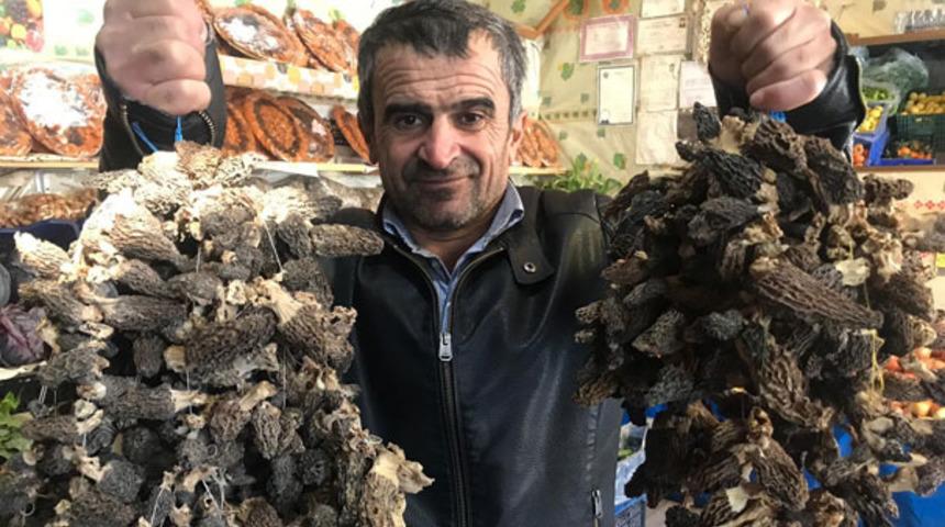  Yazın toplayıp kurutuyor kışın kilogramını 800 TL'den satıyorlar