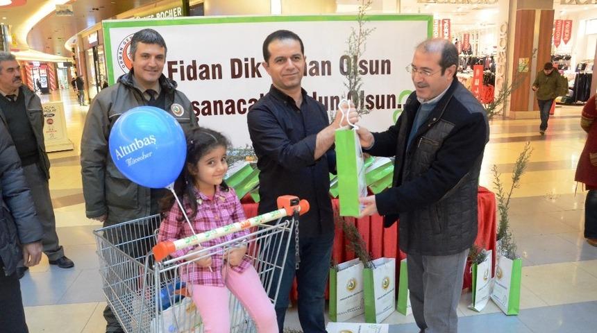 Yeni yıl &ouml;ncesi &uuml;cretsiz &ccedil;am fidanı dağıtıldı