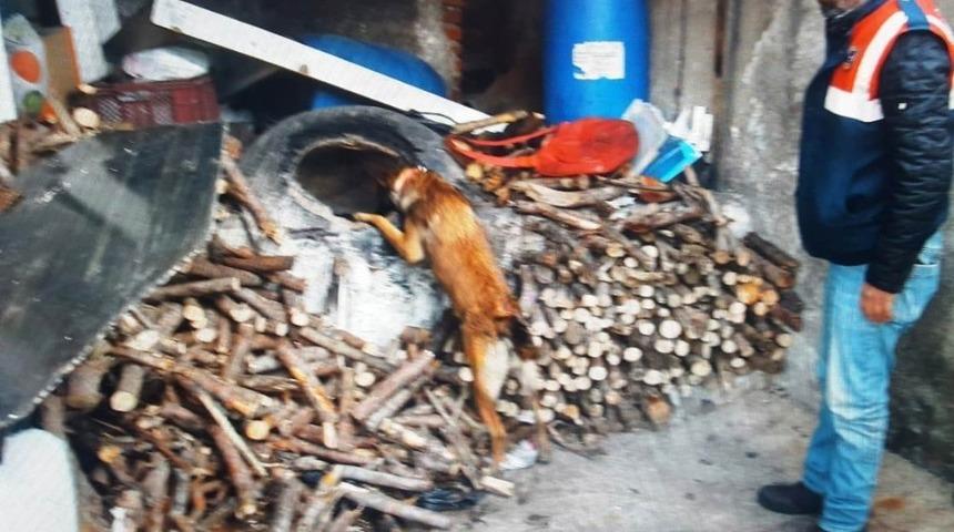 Söke’de uyuşturucu operasyonu