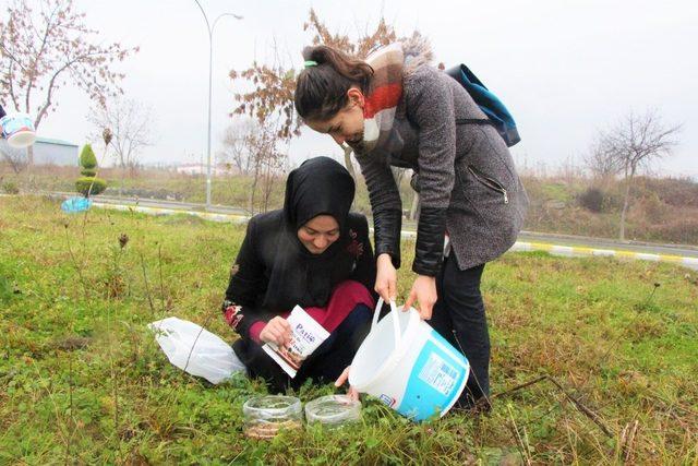 KYK’lı öğrenciler kalan yemeklerle sokak hayvanlarını besledi