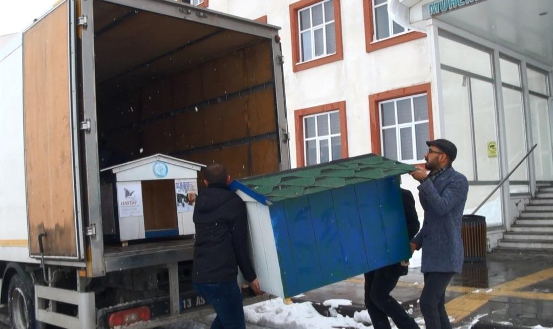 &Uuml;niversite &ouml;ğrencilerinden sokak hayvanlarına sıcak yuva