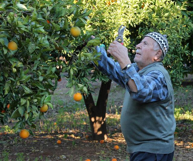 SGK, 15 yıl sonra 'yanlış hesap' nedeniyle emekliye ödediği parayı geri istedi