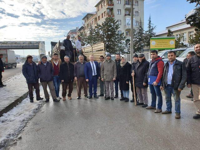 Sungurlu’da çiftçilere hibe hayvan dağıtıldı