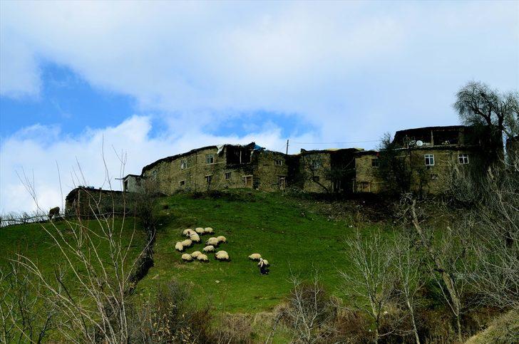 Dağlarında artık silah değil, deklanşör sesi var  G1