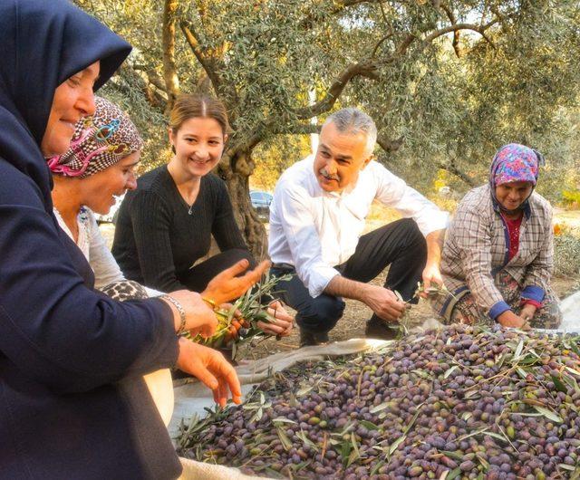 AK Partili Savaş, çiftçiye 972 milyon 436 bin TL ödeneceğinin söyledi