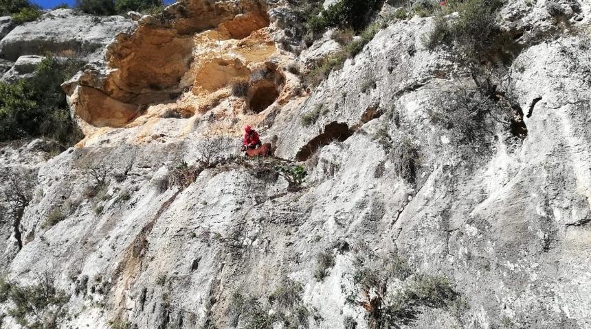 U&ccedil;urumda mahsur kalan ke&ccedil;i AKUT ekiplerince kurtarıldı