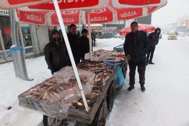 Malazgirtli vatandaşlardan balığa yoğun ilgi