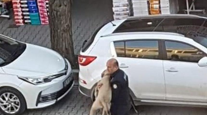 Polisten yaralı sokak köpeğine şefkat eli