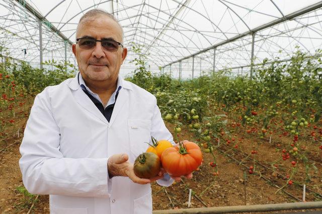 Anadolu'nun unutulan lezzetleri ıslah ediliyor