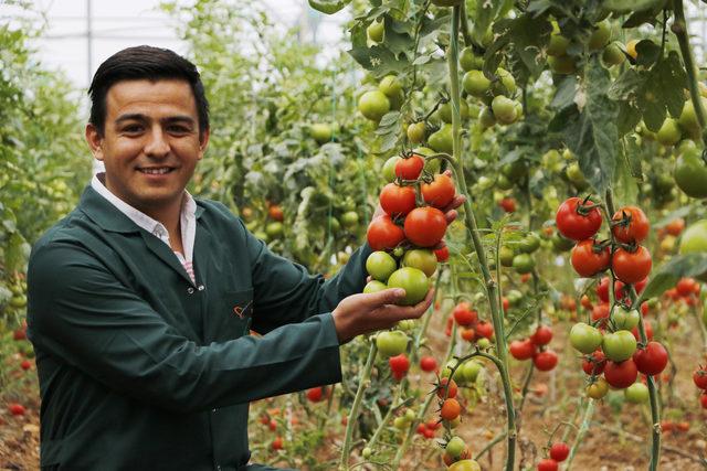 Anadolu'nun unutulan lezzetleri ıslah ediliyor