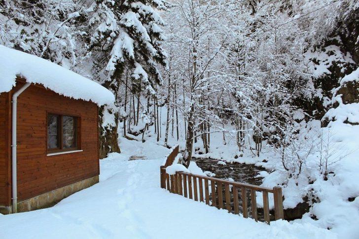 Çağlayandibi Şelalesi buz tuttu G5