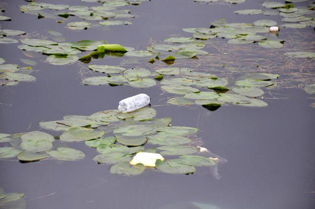 Doğaya atılan plastik atıklar her yıl artıyor