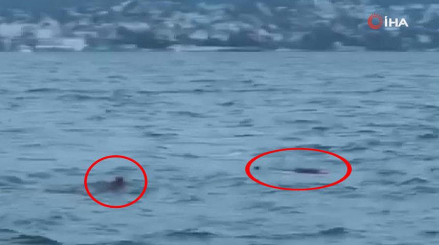 İstanbul Büyükada'da can pazarı! Yaşlı kadın motordan denize düştü...