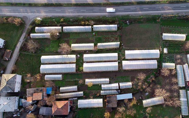 İş yerini kapatıp köye yerleşti, 11 sera kurdu