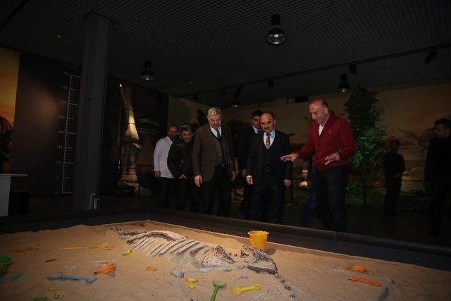 7.5 milyonluk fosiller Bilim Merkezi&rsquo;nde 4