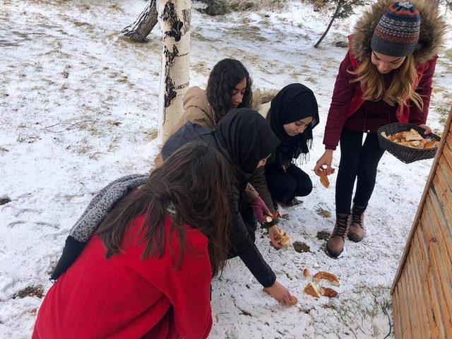 Kayseri'de gençler, doğaya yiyecek bıraktı, palamut saçtı