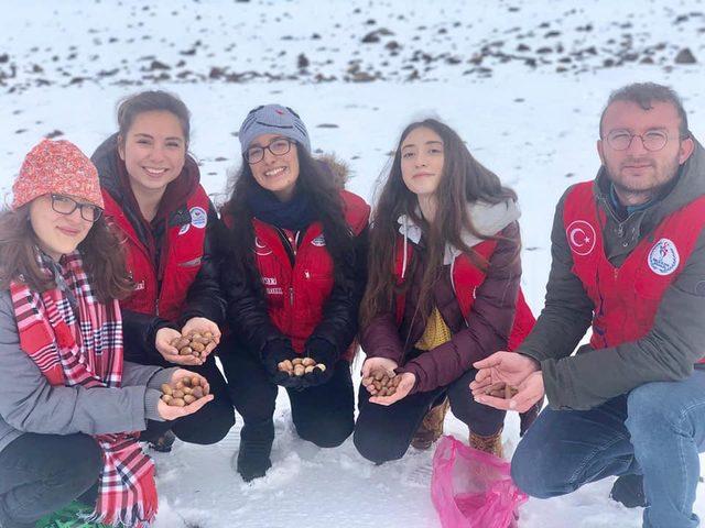 Kayseri'de gençler, doğaya yiyecek bıraktı, palamut saçtı