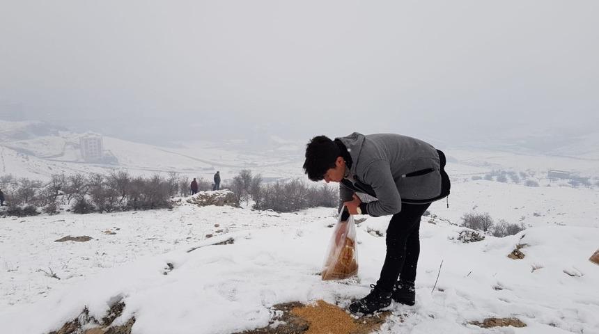 Gen&ccedil;ler hayvanların a&ccedil; kalmaması i&ccedil;in doğaya yiyecek bıraktı