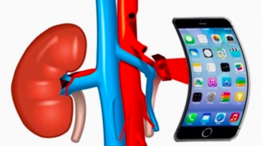 iPhone i&ccedil;in b&ouml;breğini sattı, hayatı karardı!