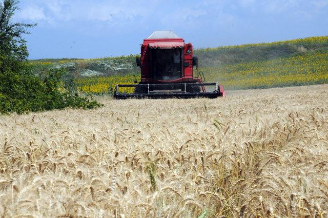 ATB Başkanı Bilgiç: Tarım sektörü için zor bir yıl oldu