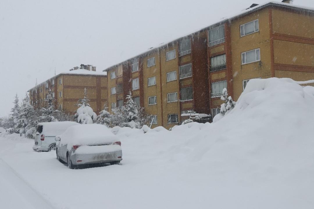 Bitlis&rsquo;te 287 k&ouml;y yolu ulaşıma kapandı