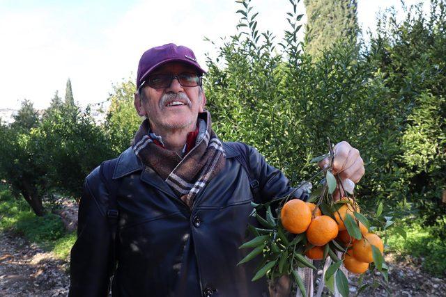 Festivalde, dalından mandalina koparmanın keyfini &ccedil;ıkardılar 3