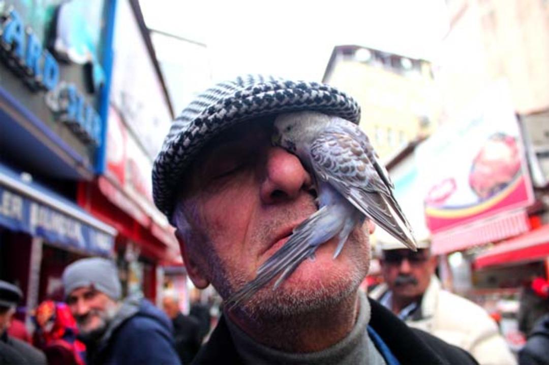 Kimisi deli, kimisi hasta diyor ama... İşin aslı bambaşka 