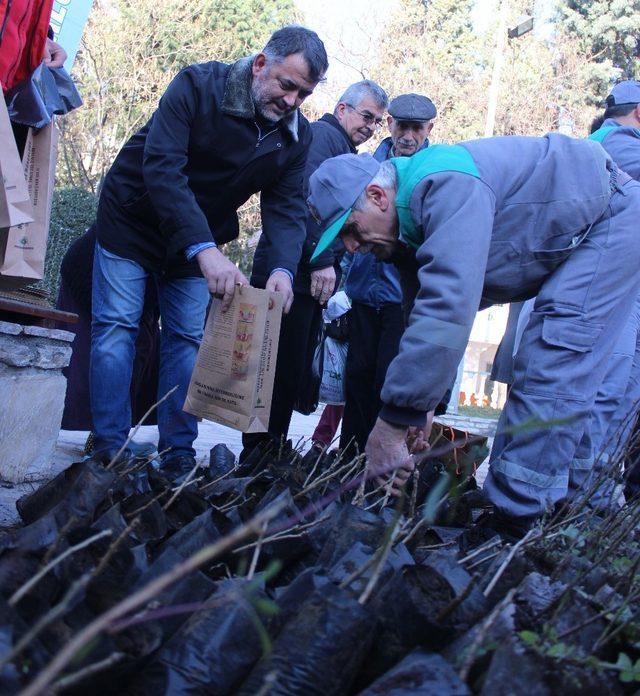 Yeni yıl öncesi Menteşe’de 2019 fidan dağıtıldı