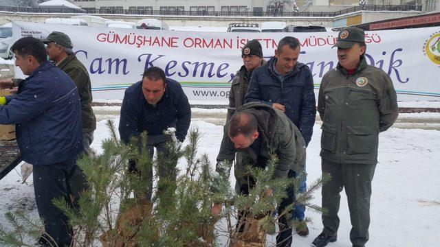 ‘Çam kesme, fidan dik’