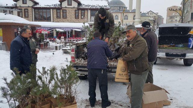 ‘Çam kesme, fidan dik’