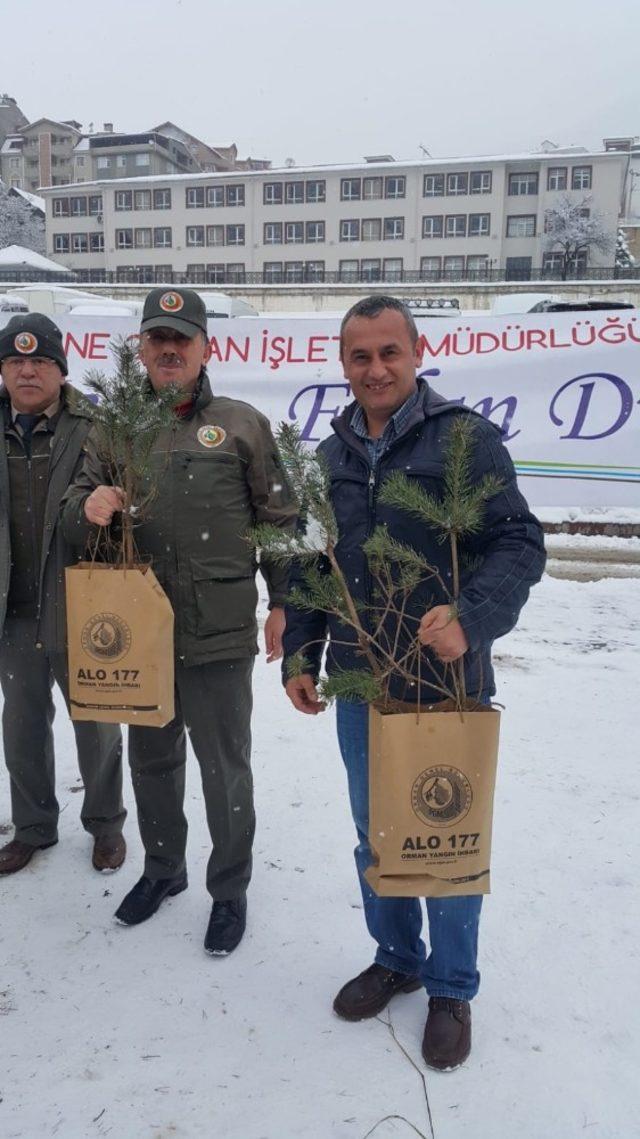 ‘Çam kesme, fidan dik’