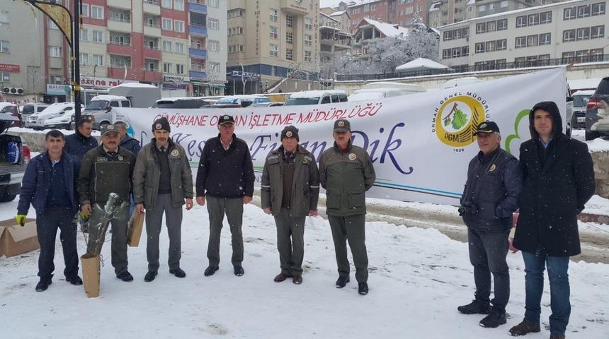 &lsquo;&Ccedil;am kesme, fidan dik&rsquo;