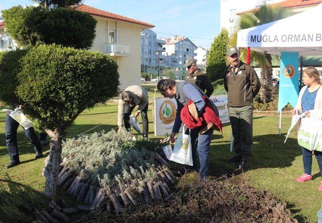 Marmaris’te 3500 adet fidan dağıtıldı