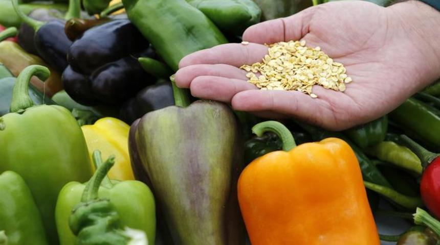 Anadolu'nun unutulmaz lezzetleri sofralara geri d&ouml;n&uuml;yor!