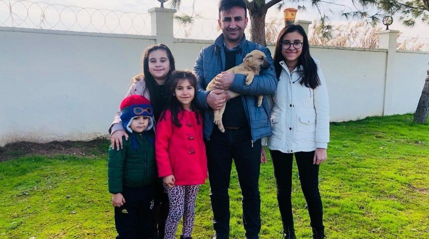 Manisa&rsquo;da 5 binden fazla sokak hayvanı tedavi edildi