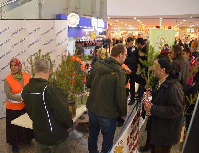 Kastamonu’da 4 bin adet fidan dağıtımı gerçekleştirildi