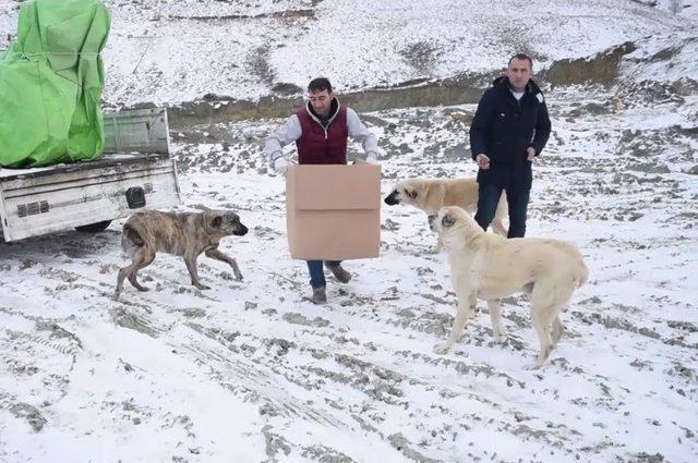 Bağışlanan mama ve yiyecekler kırsal alanlardaki sokak hayvanlarının imdadına yetişiyor