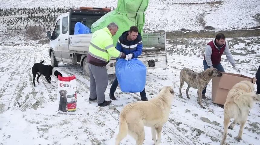 Bağışlanan mama ve yiyecekler kırsal alanlardaki sokak hayvanlarının imdadına yetişiyor