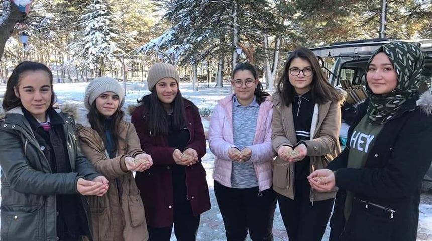 Bolvadin&rsquo;de sokak hayvanları i&ccedil;in "Bir Avu&ccedil; Mutluluk" Projesi uygulandı