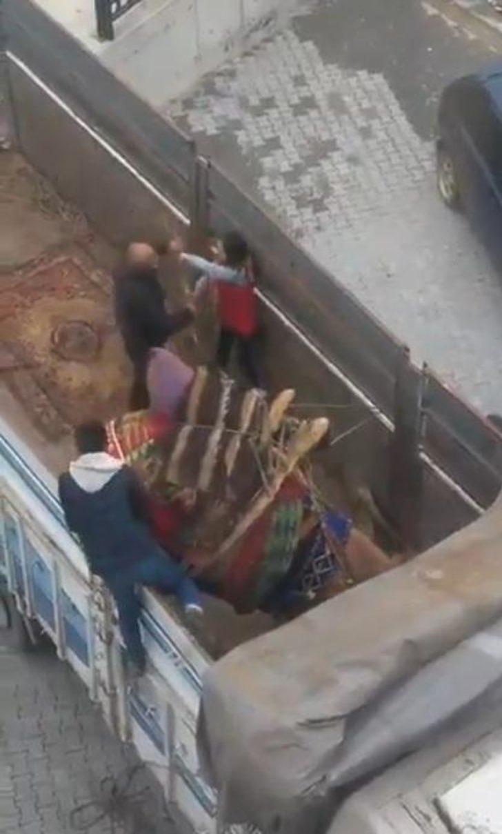 Deveye sopalı işkence  G2